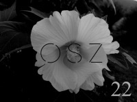 150922_osz